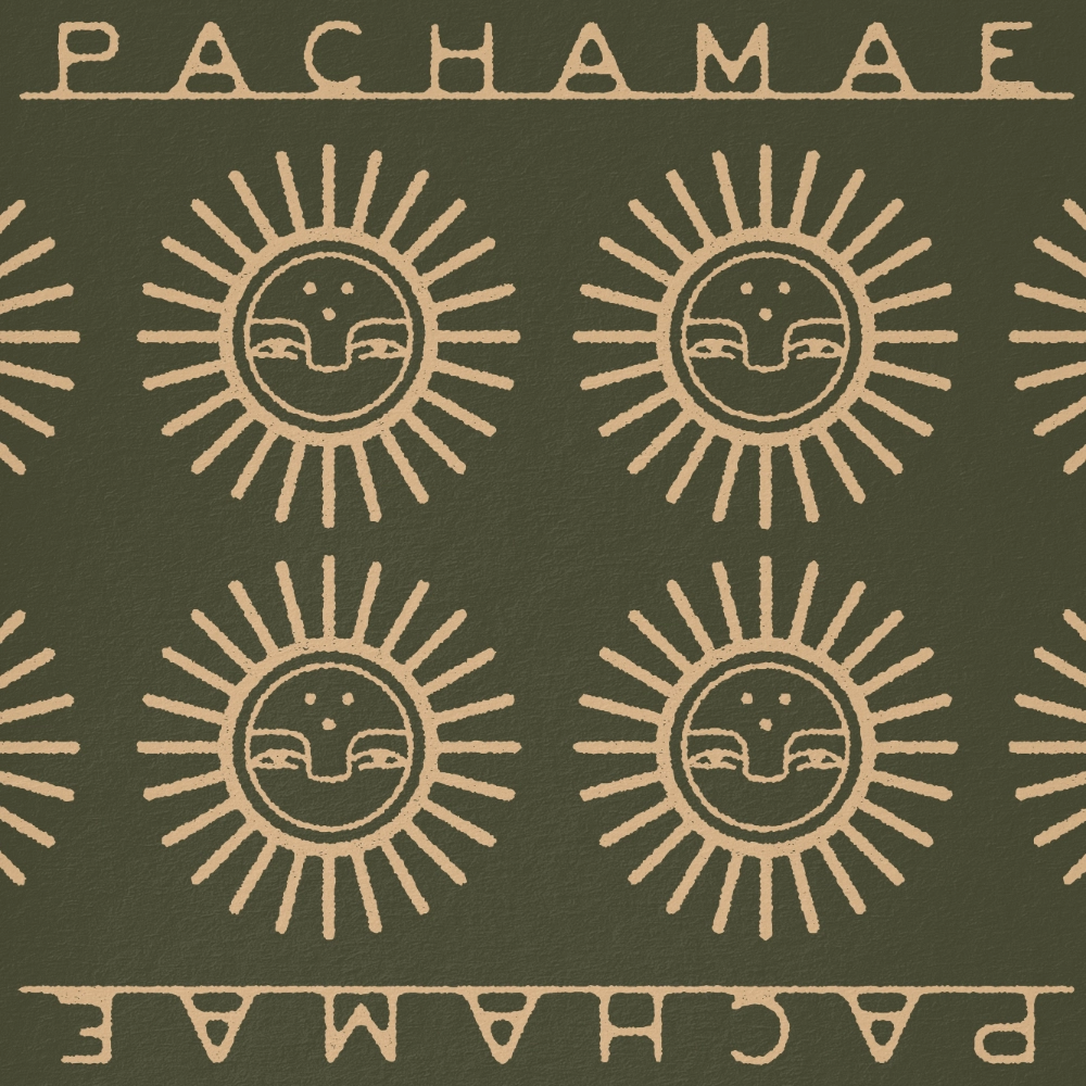 Pachamae Costa Rica Logo Design Brand Identity